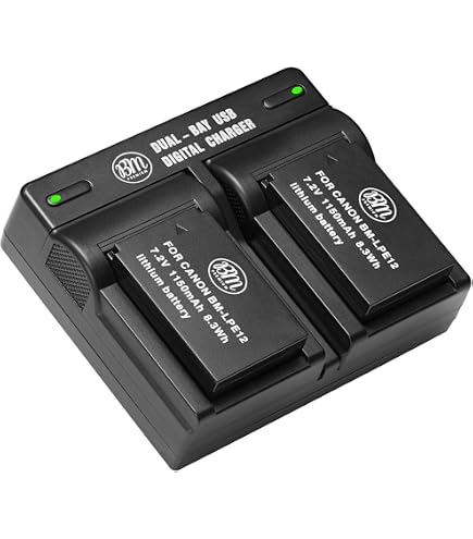 Amazon.com : Battery Pack for Canon PowerShot SX70 HS, SX70HS and